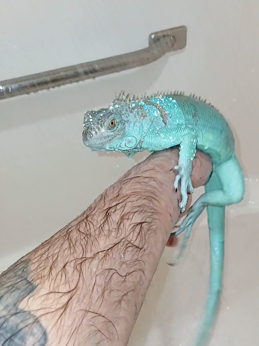 @Jimmy4 🦖