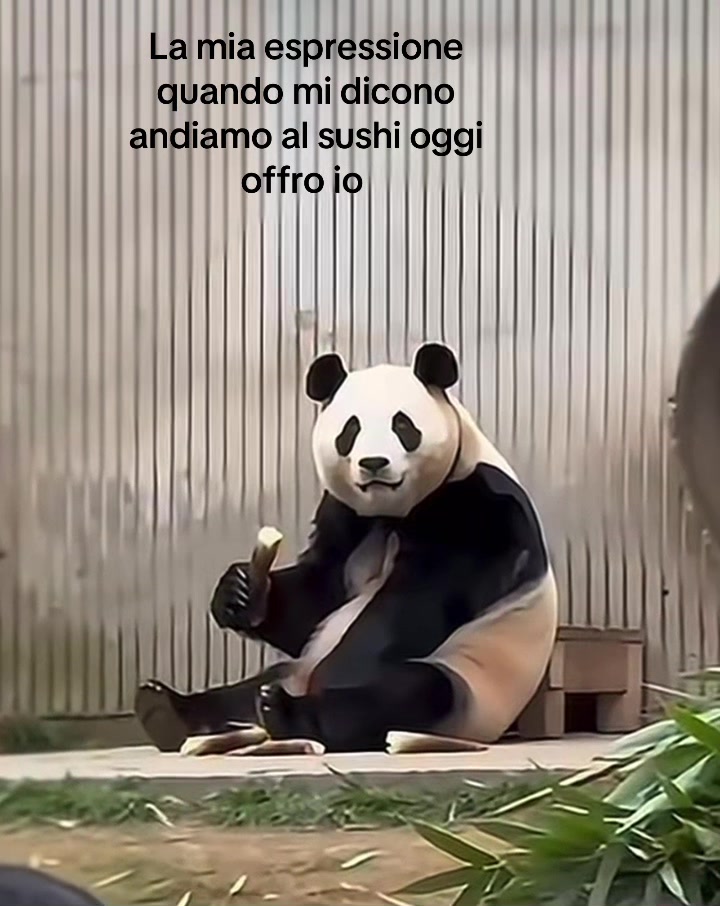 @tinuzzu🐼🐼🐼