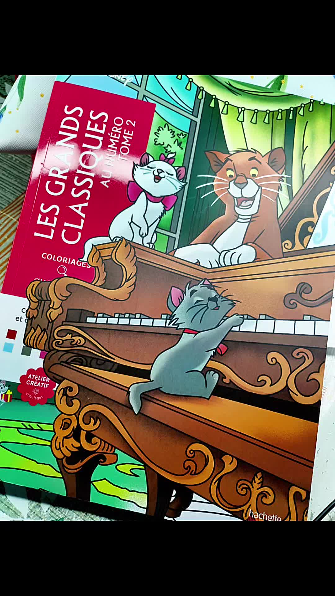 @✨🩷Cats&Colos🩷✨