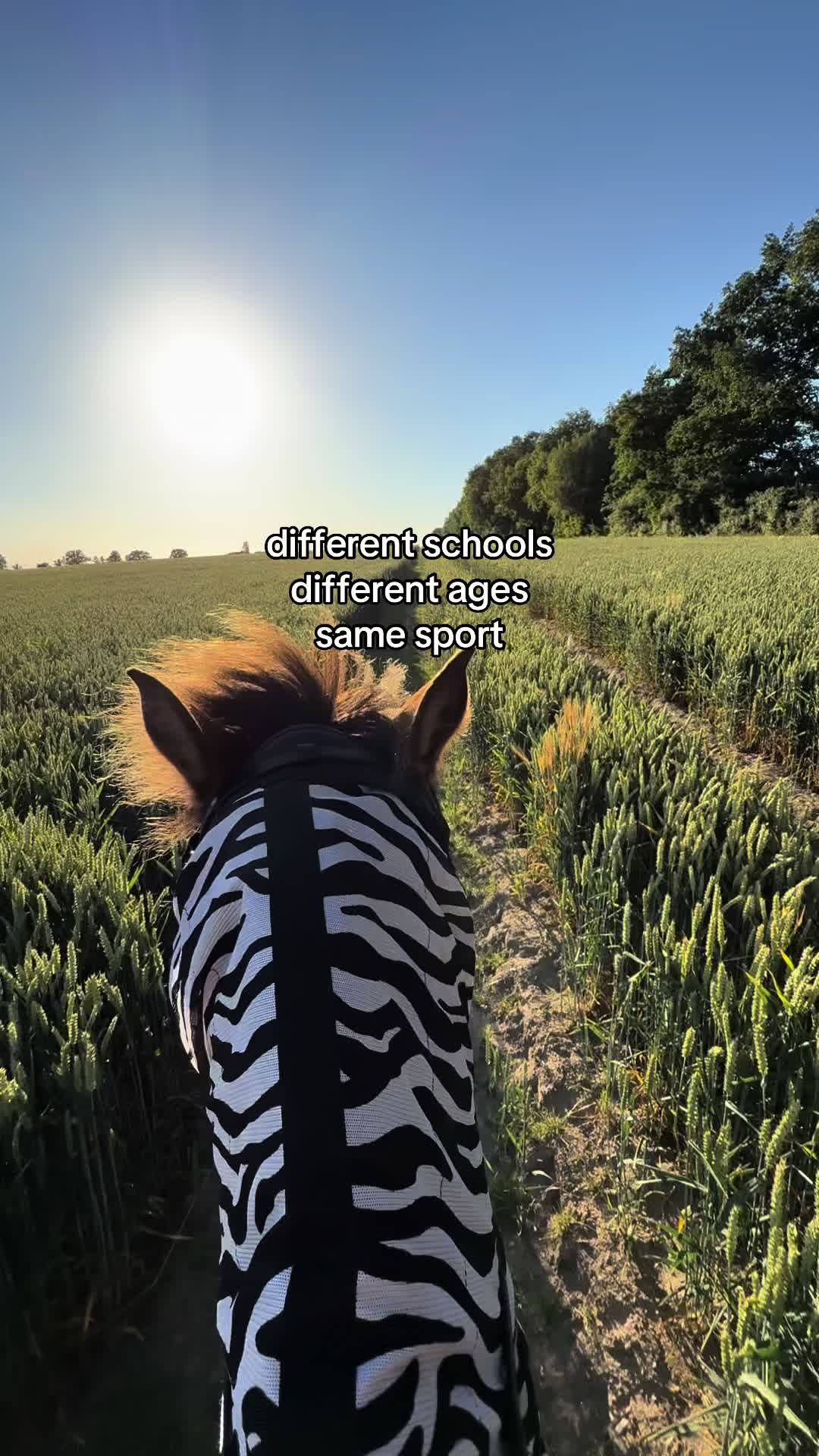 @𝖬𝖺𝗒𝖺 ❦