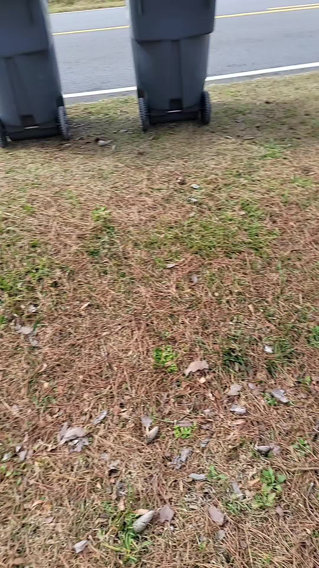 @gabesmith1026