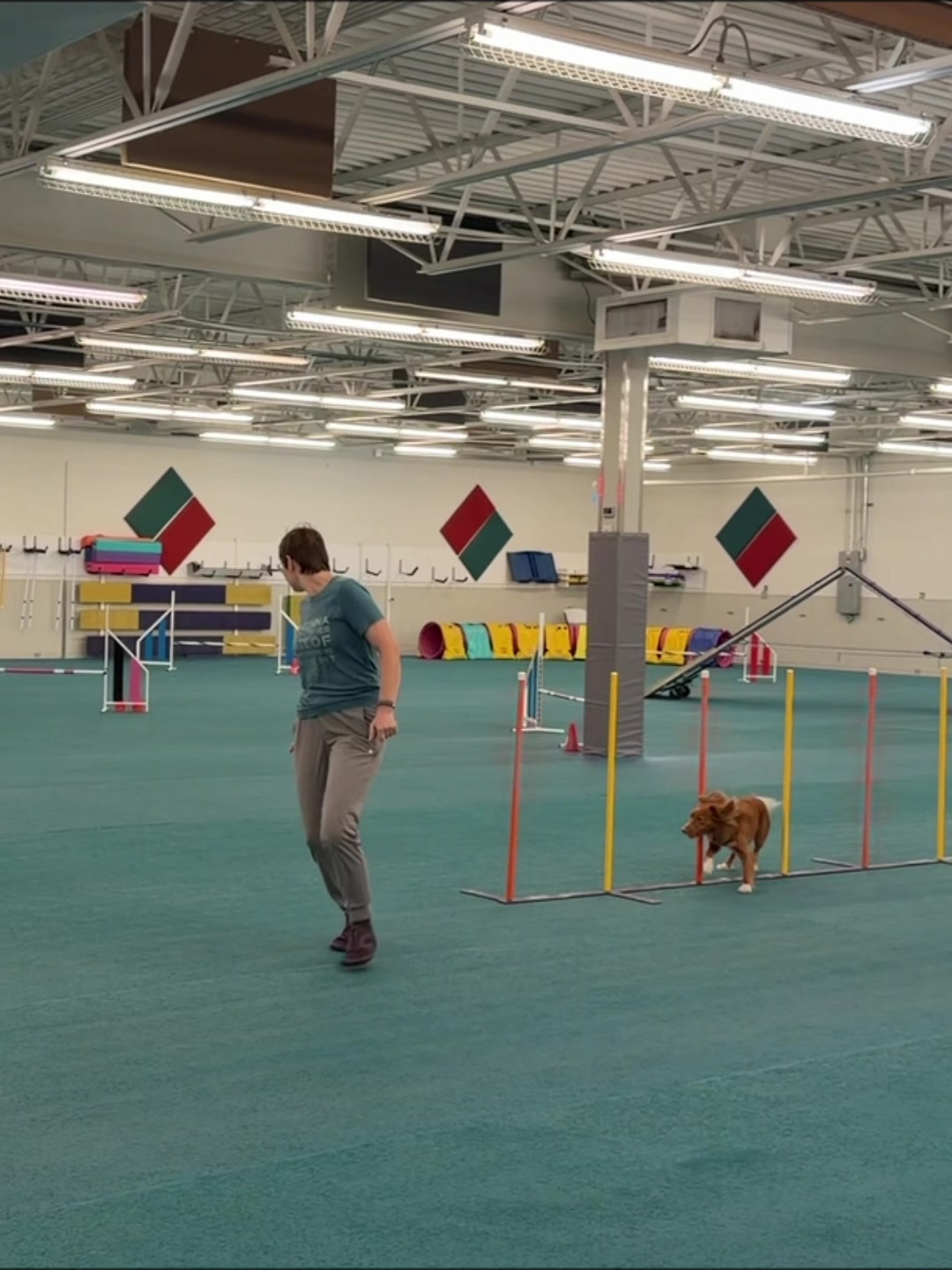 @Laura Waudby - Dog Sports