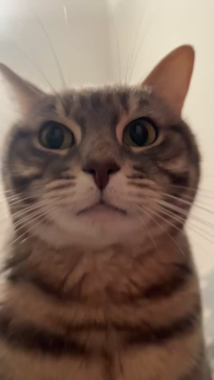 @Le_drama.cat 🇫🇷