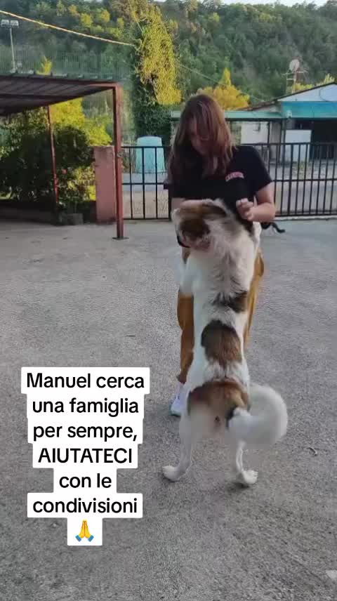 @Pina Rossignuolo