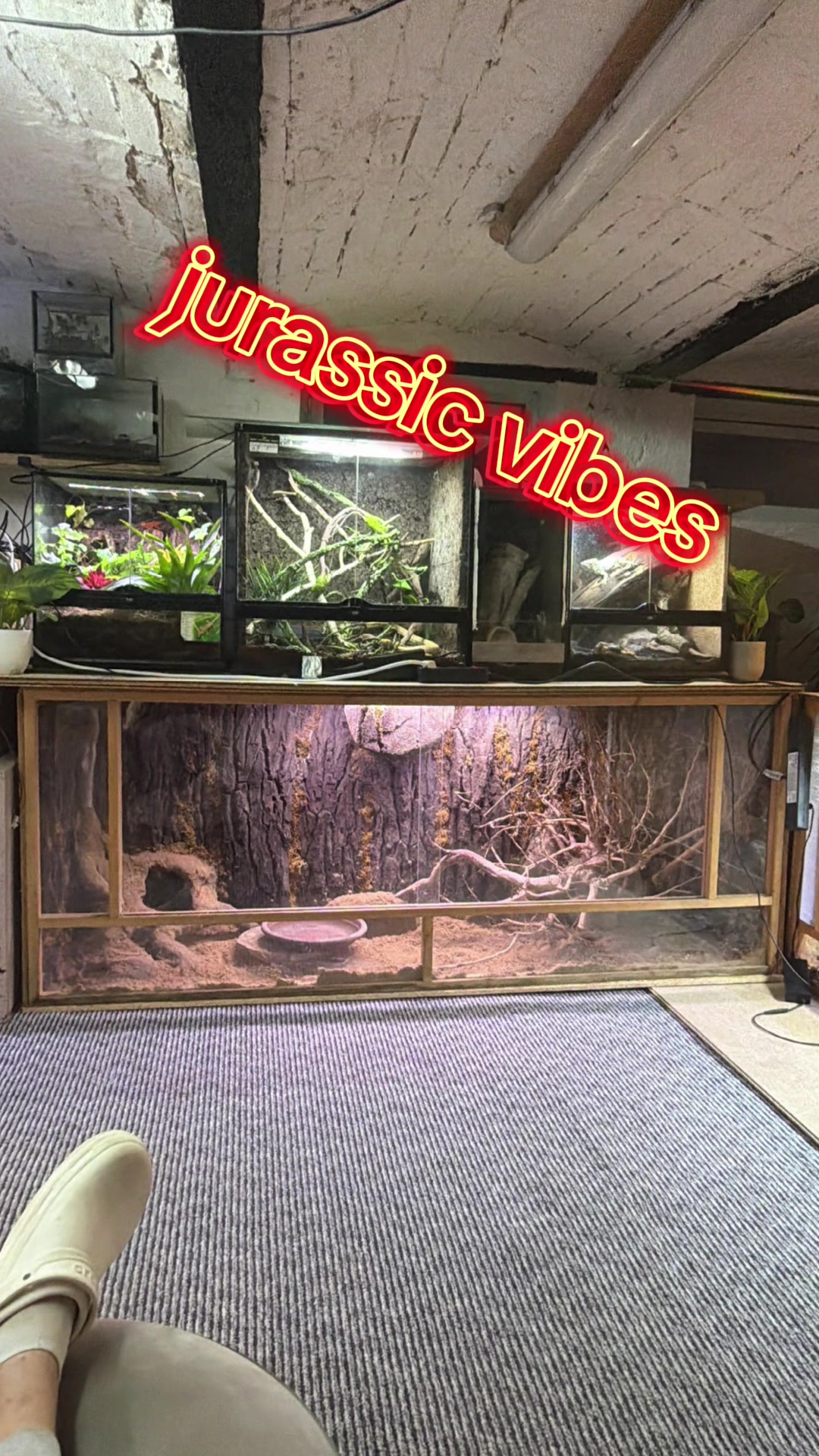 @jurassiczoo