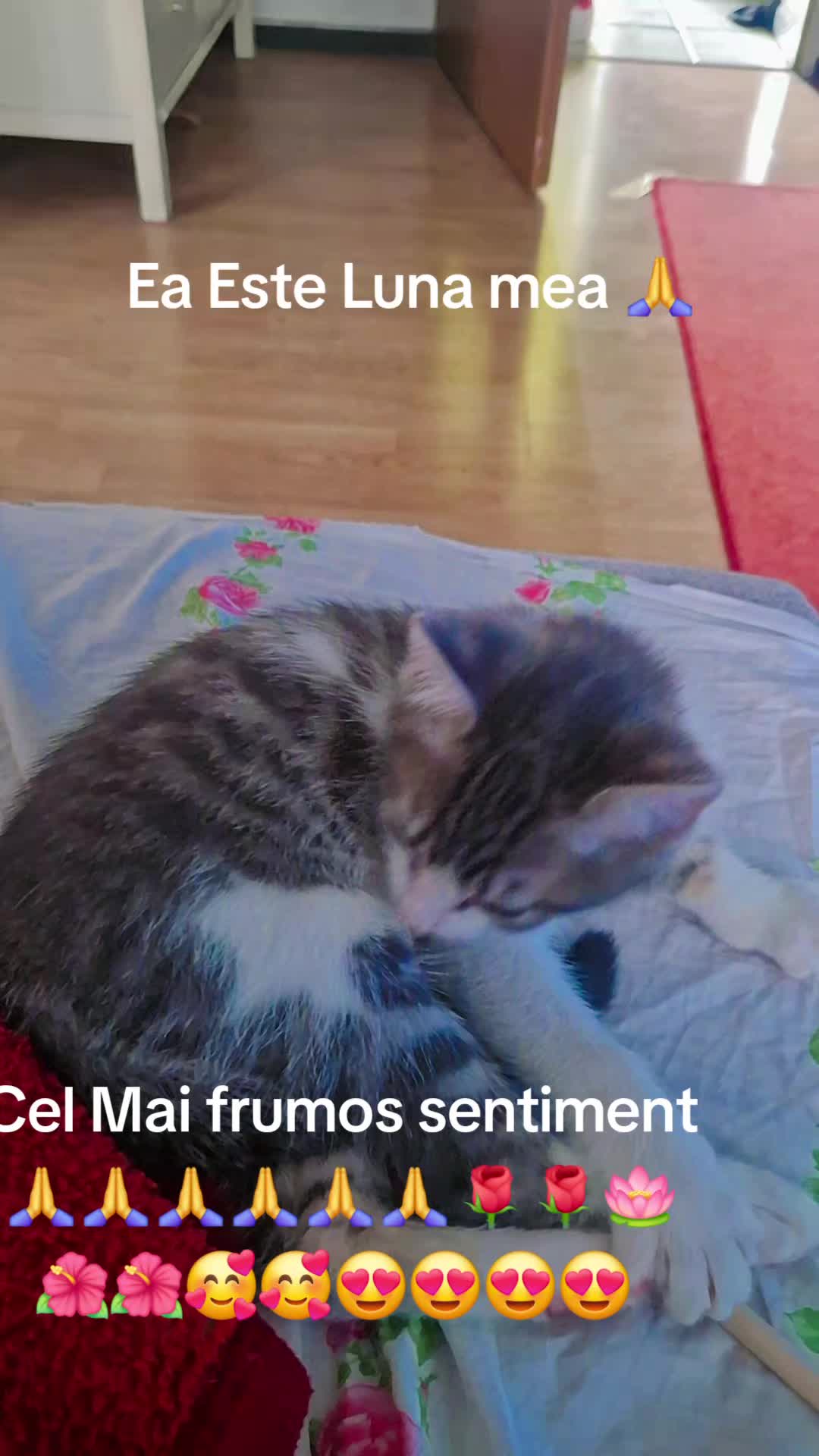 @filipo