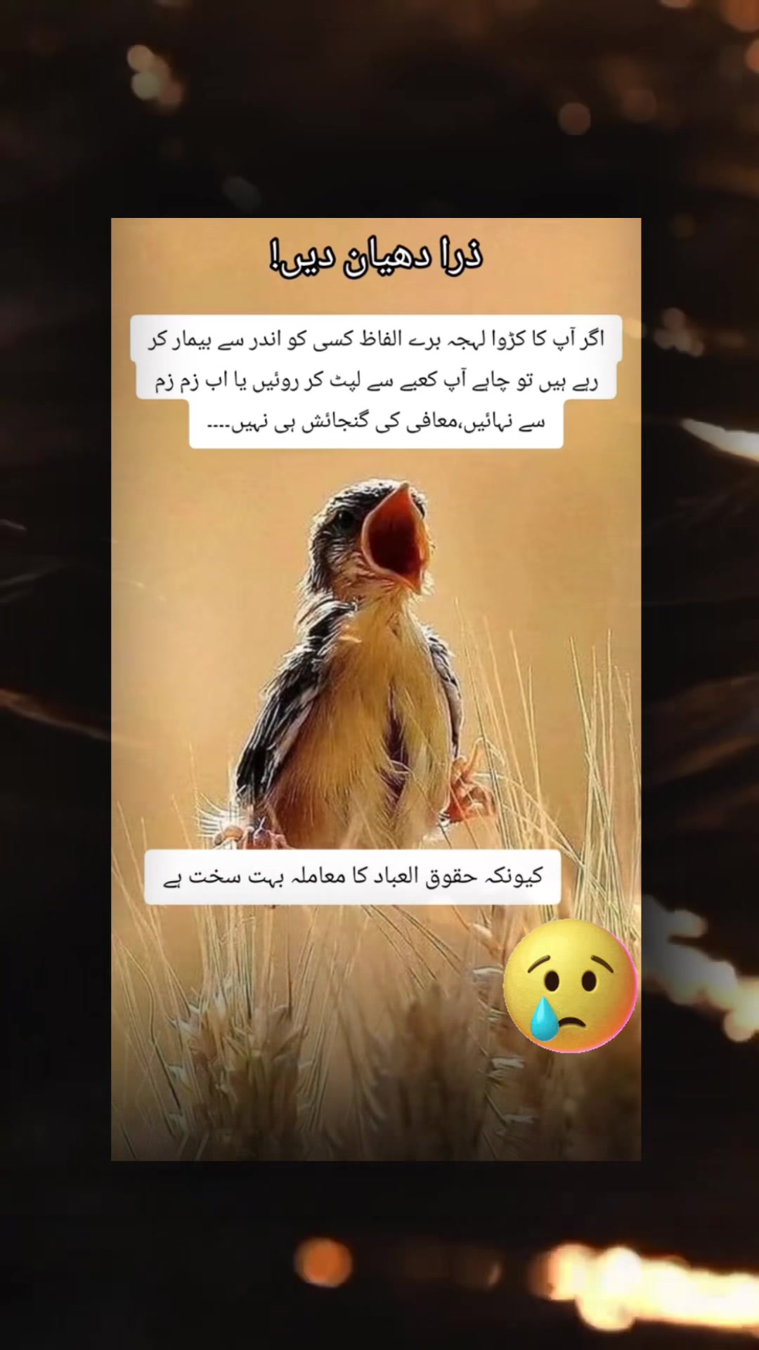 @noor