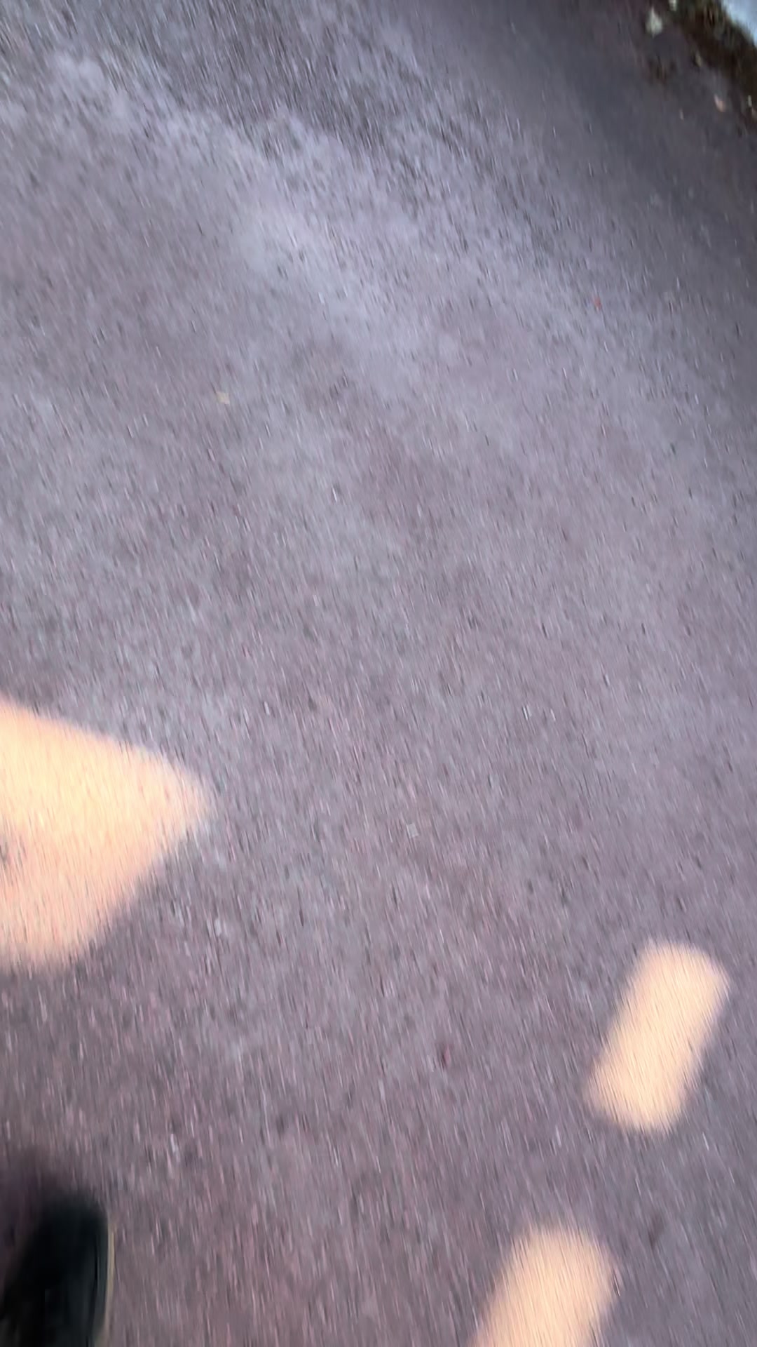 @ginies. Dylan
