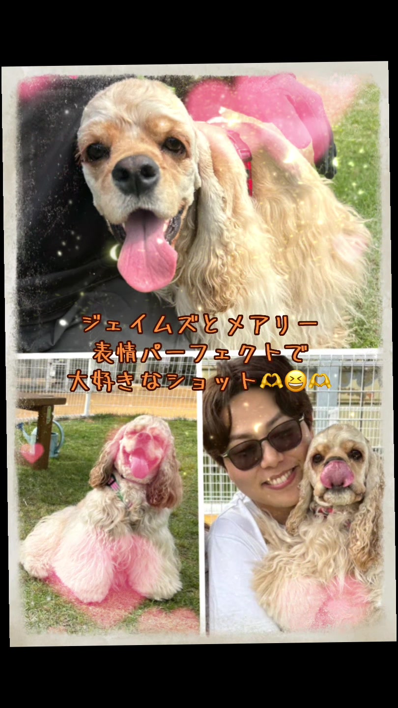 @Snow Girl 1201 🧡