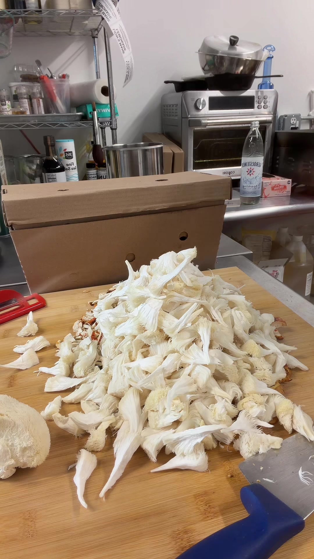 @The Mushroom Hub