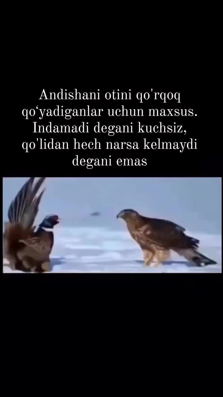 @hm_fx__