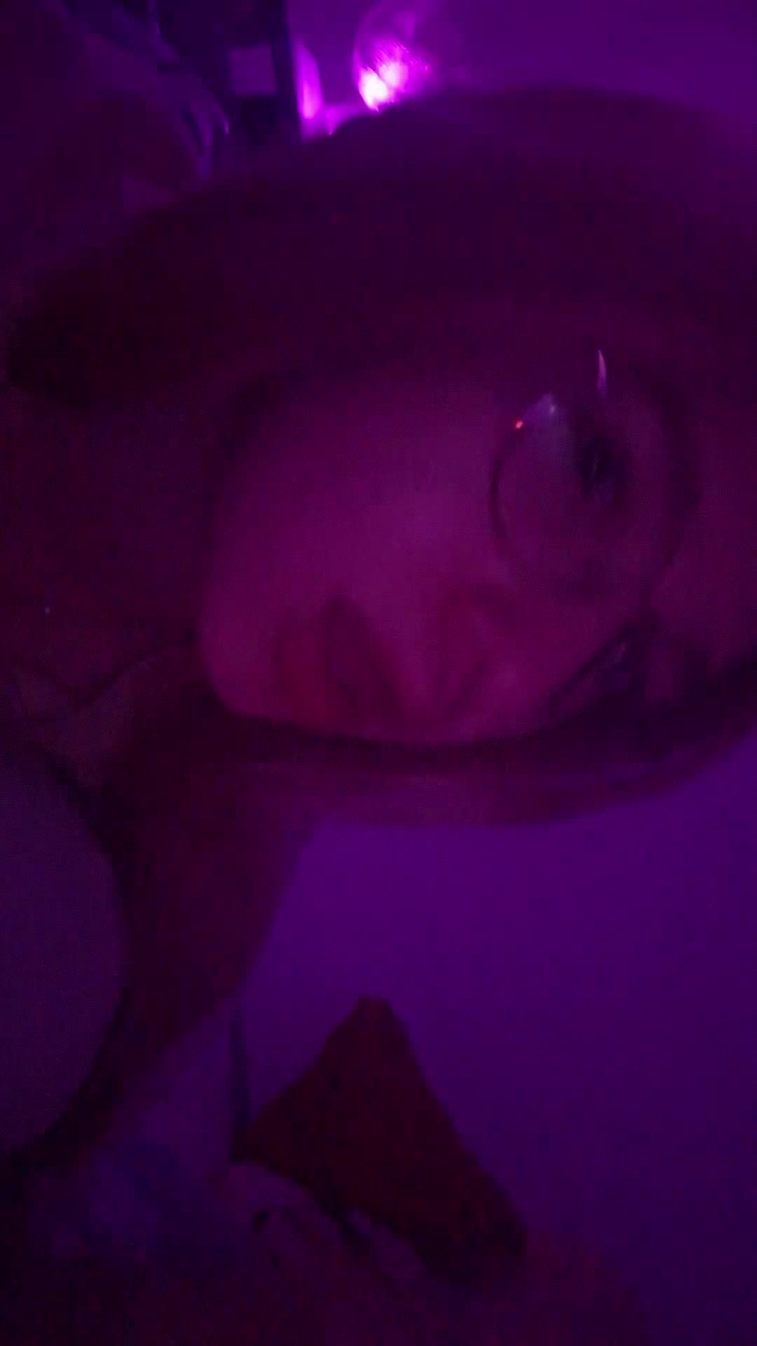 @🌸