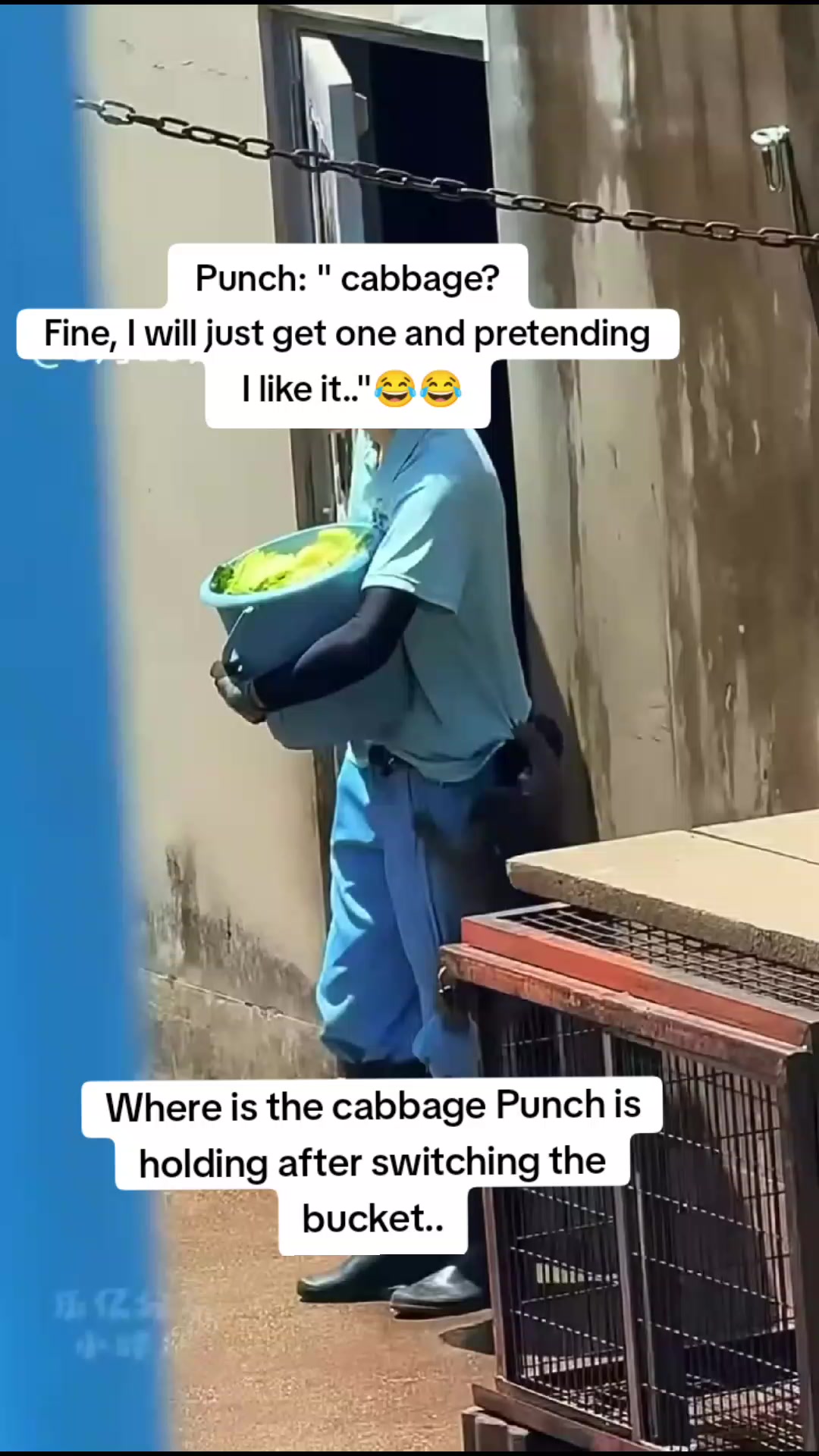 @Mochi/Rusty
