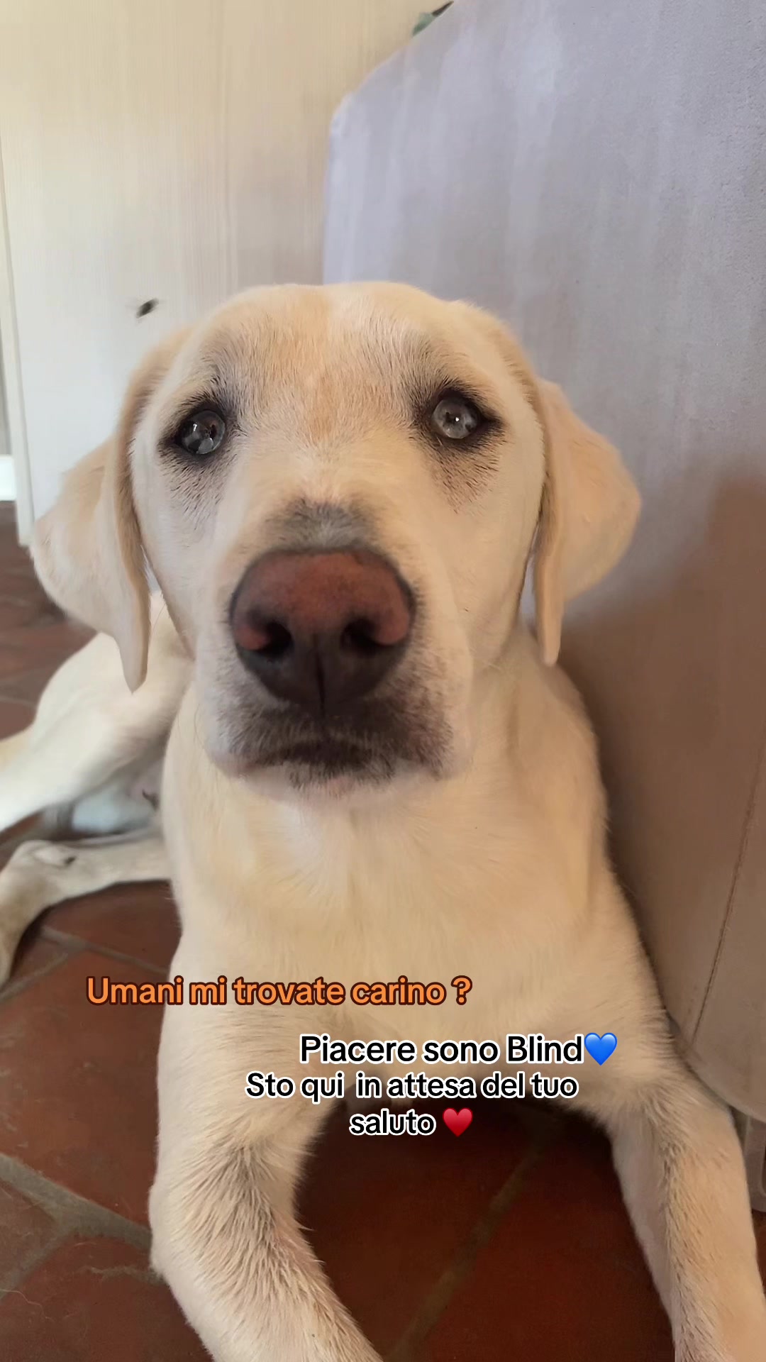 @KIRA❤️LEYLA💙