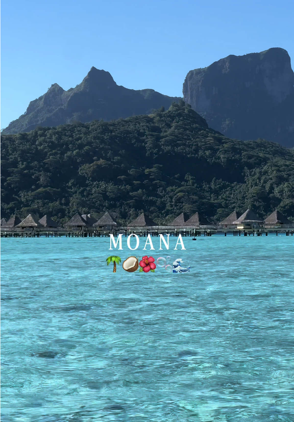 @Marine| Travel Planner Creator