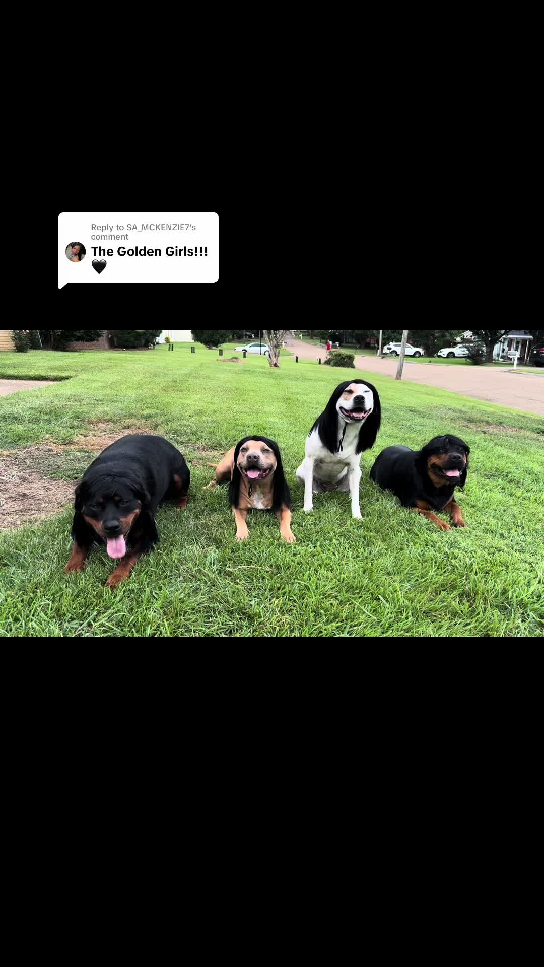 @TheHobsonSquad