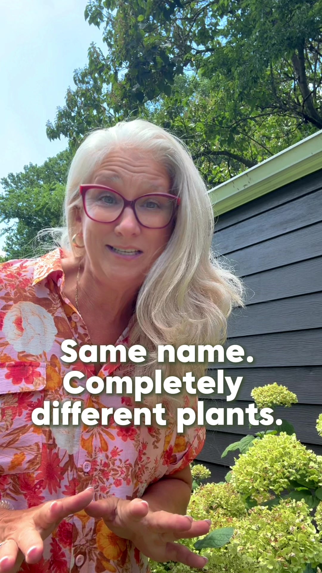 @Sweet BombDiggity Farms
