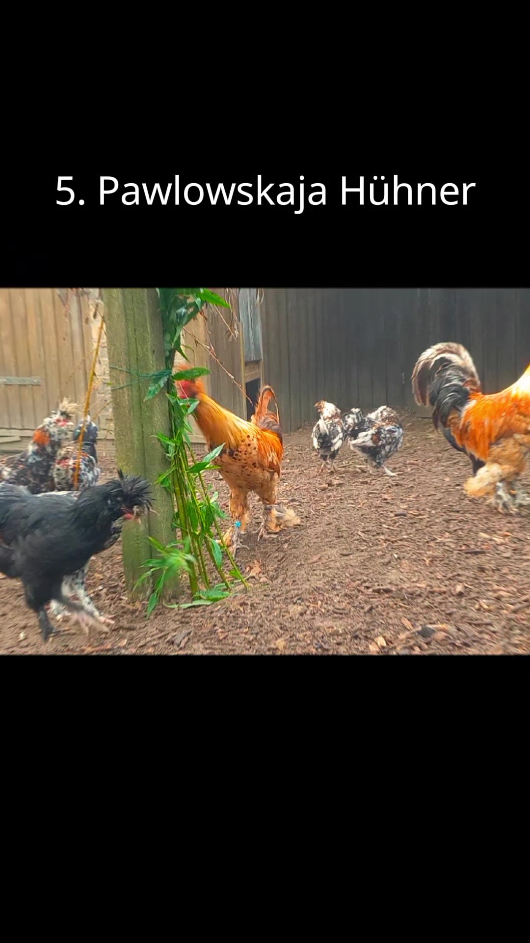 @🦚🆃𝓲𝓮𝓻🅿𝓪𝓻𝓴🆃𝓸𝓴🦚