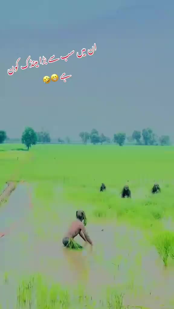 @imram442