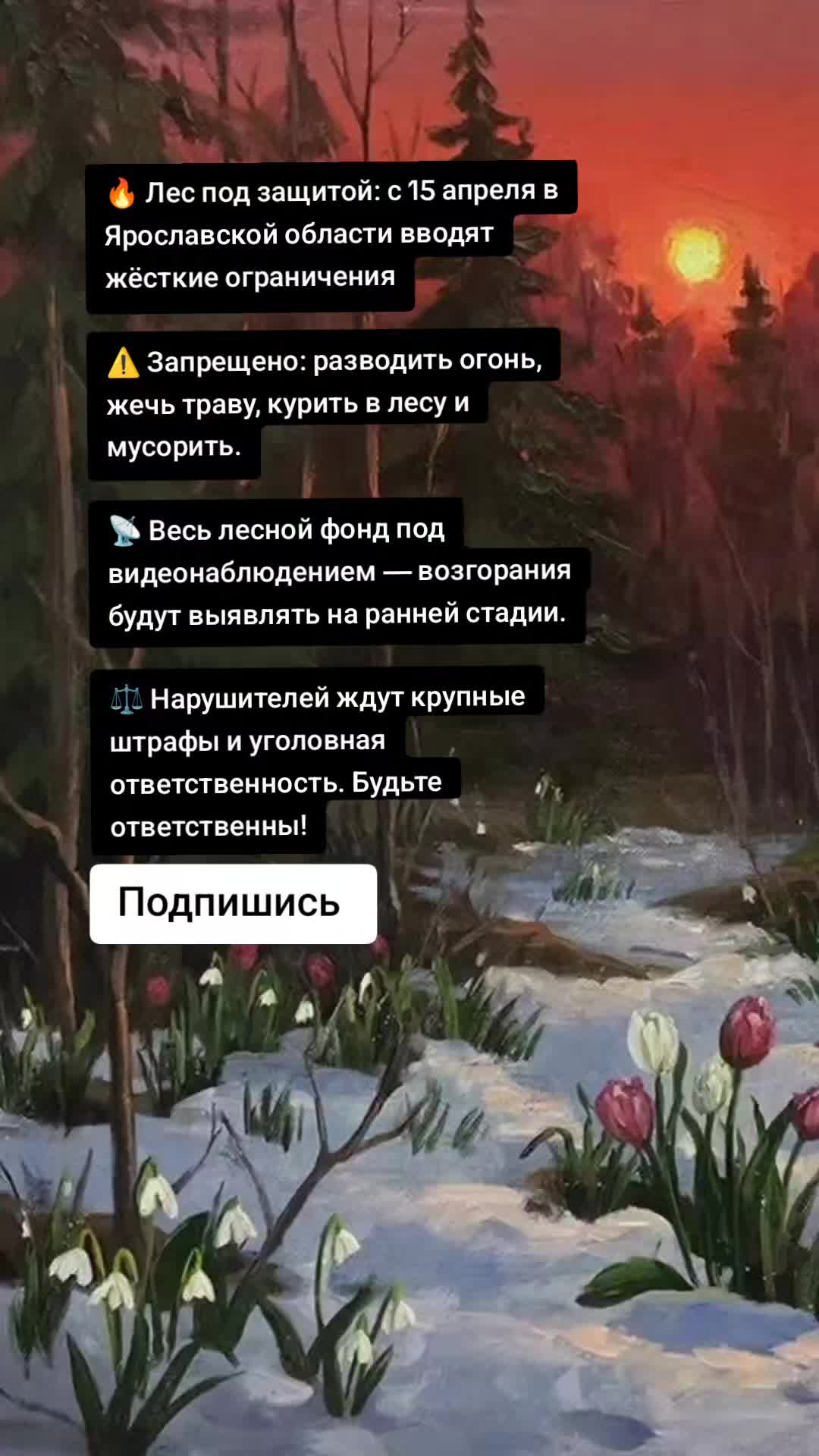 @Ярославские Новости