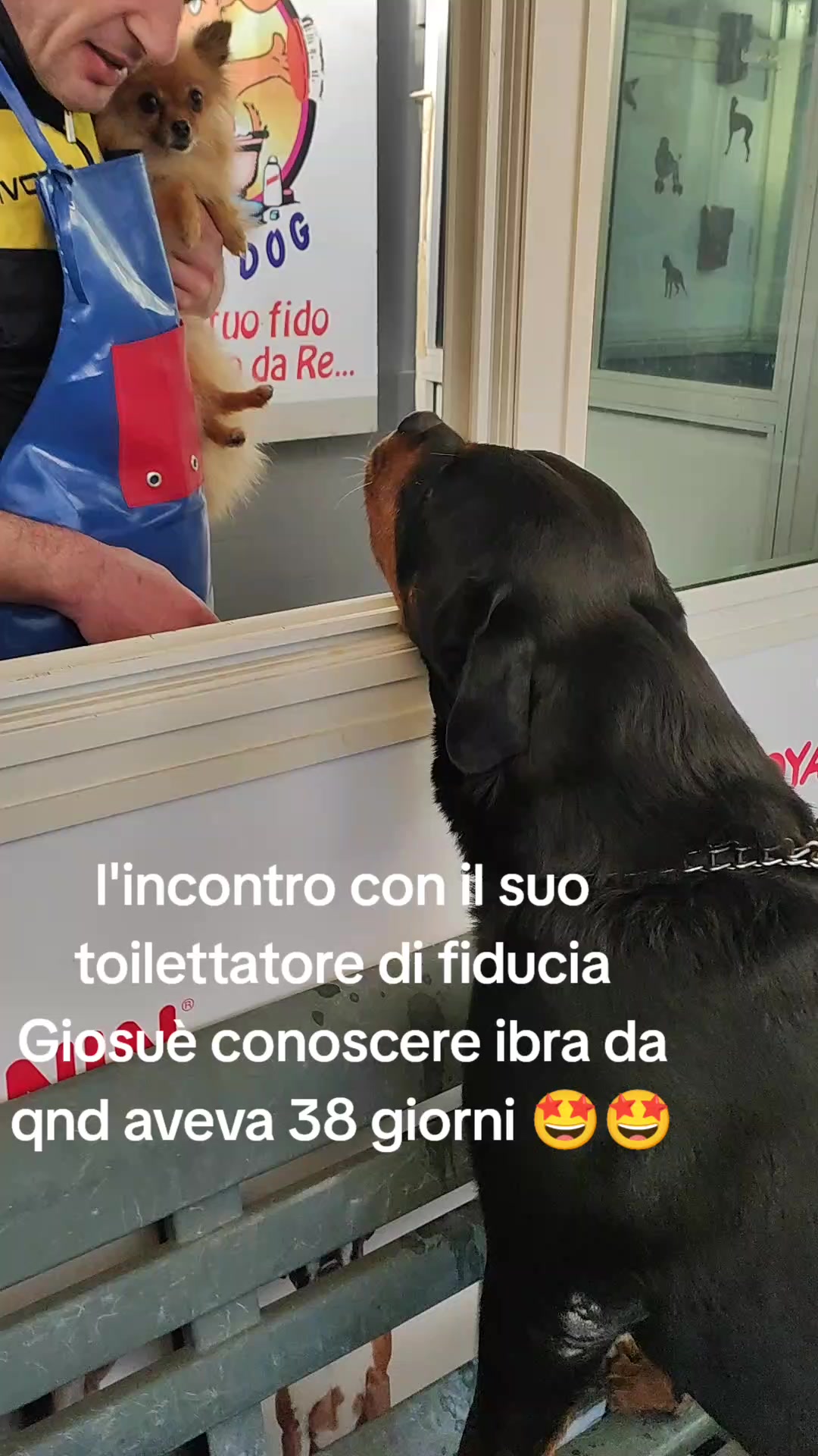 @la famiglia con i cani 🐾🥰