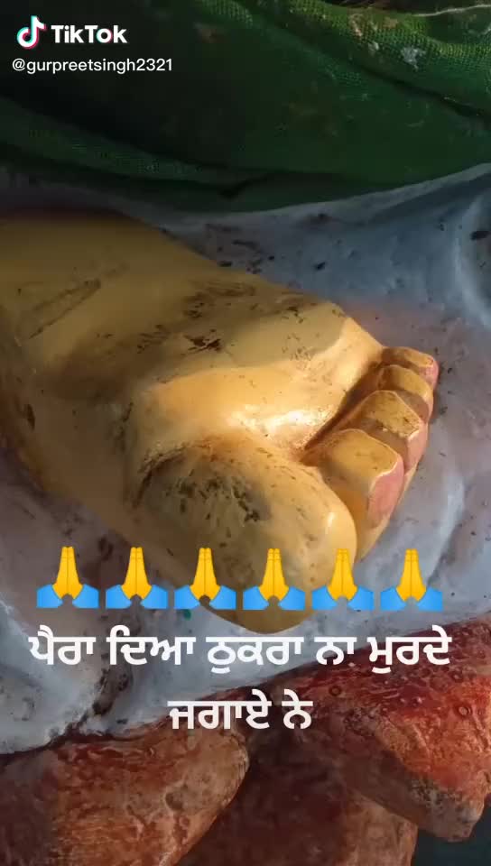 @pkshona