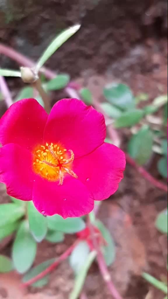 @Archanachutty 7502