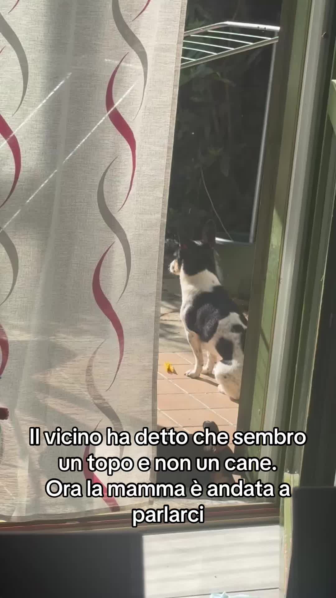 @💎Emanuela80🐾💎