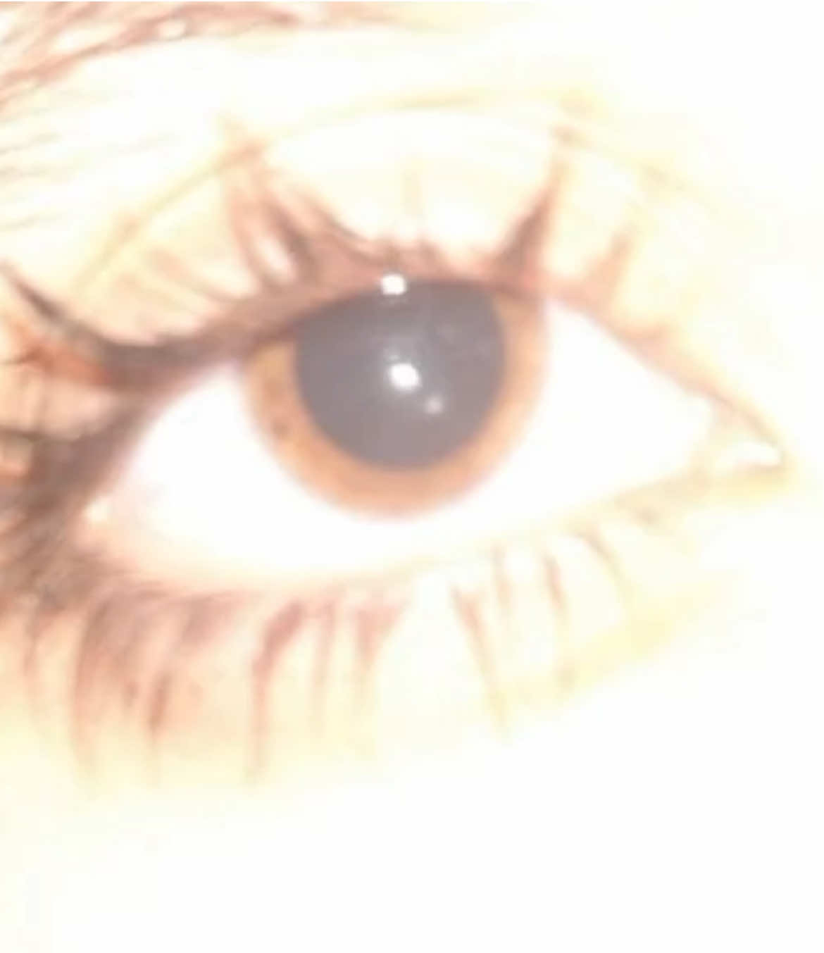 @hofma_nnitka