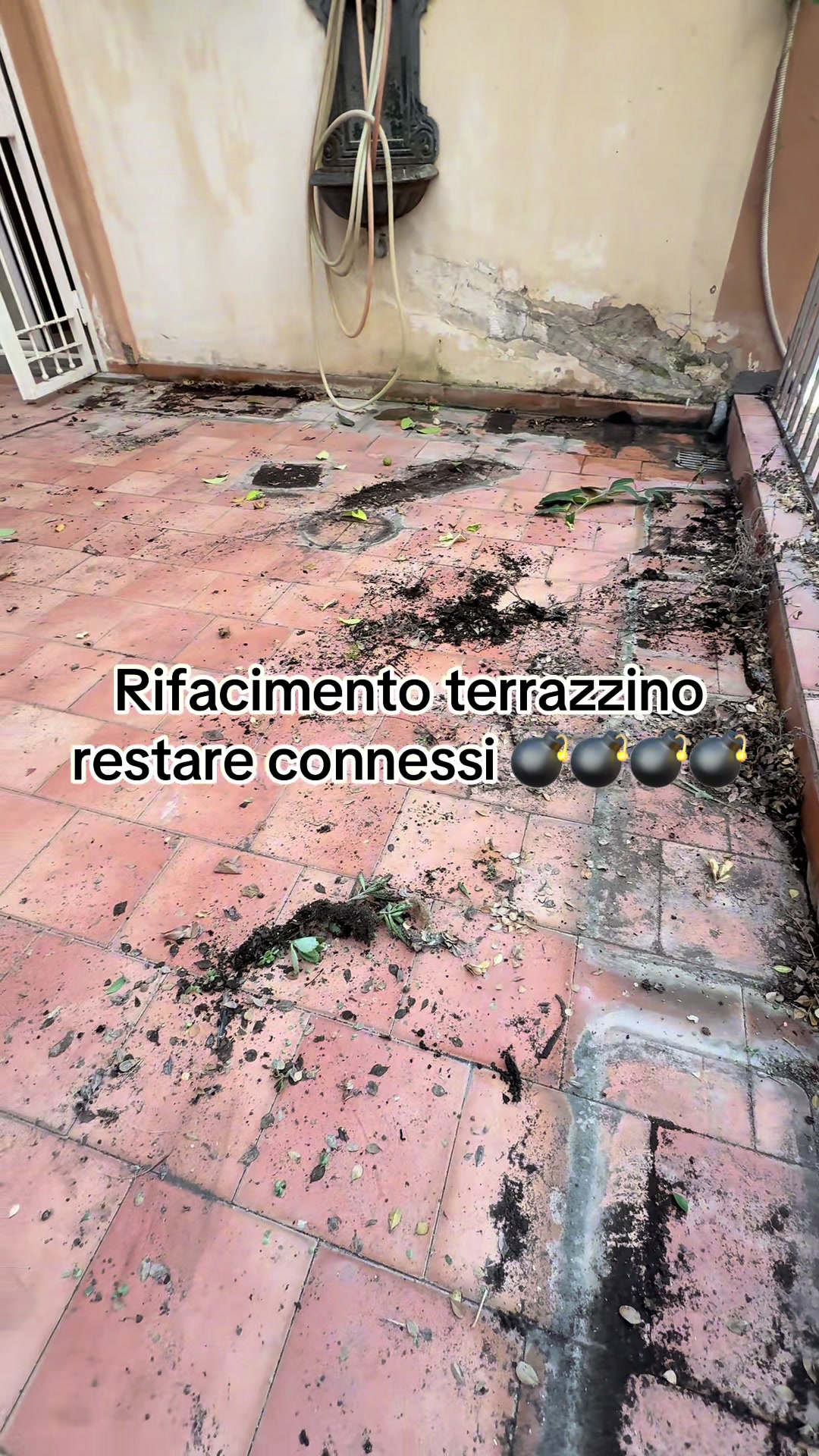 @Ristrutturazione della volpe