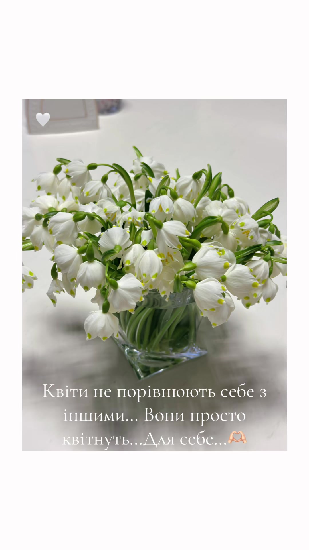@Ксенія Семко