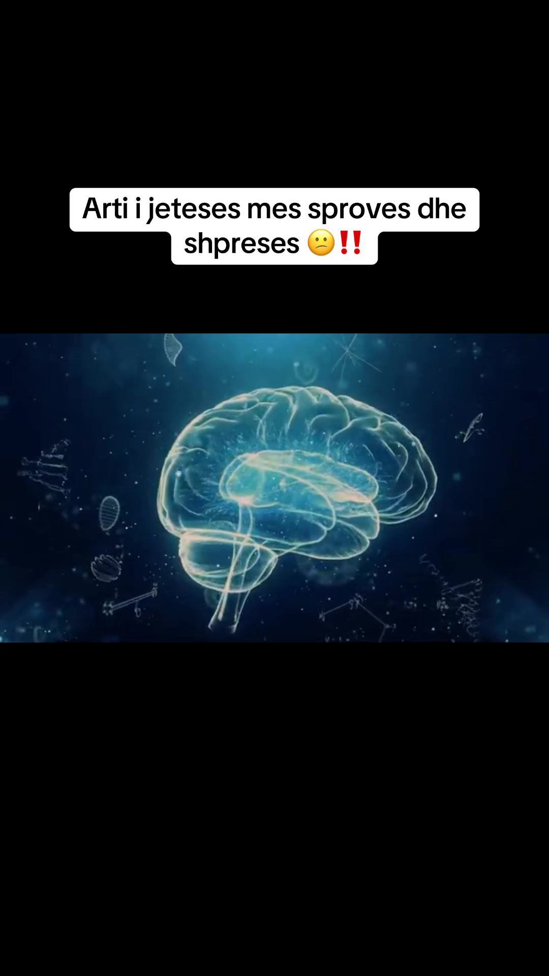 @ElvisNaciFanPage