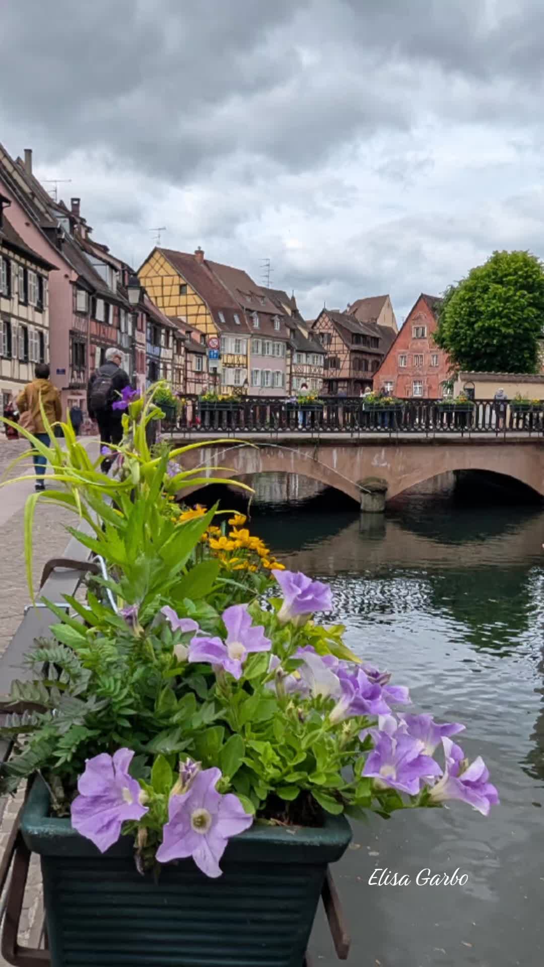 @𝔼𝕝𝕚𝕤𝕒🍀