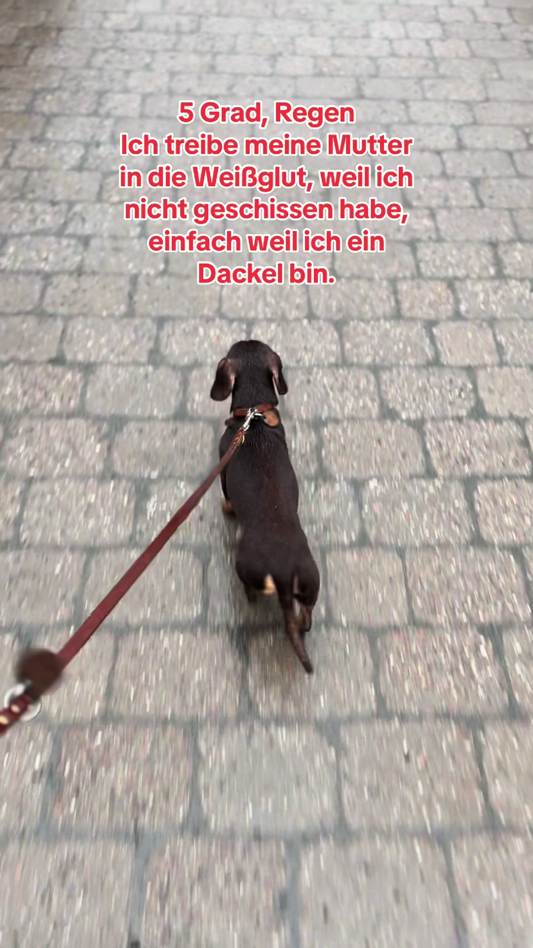 @Rumpelstilzchen