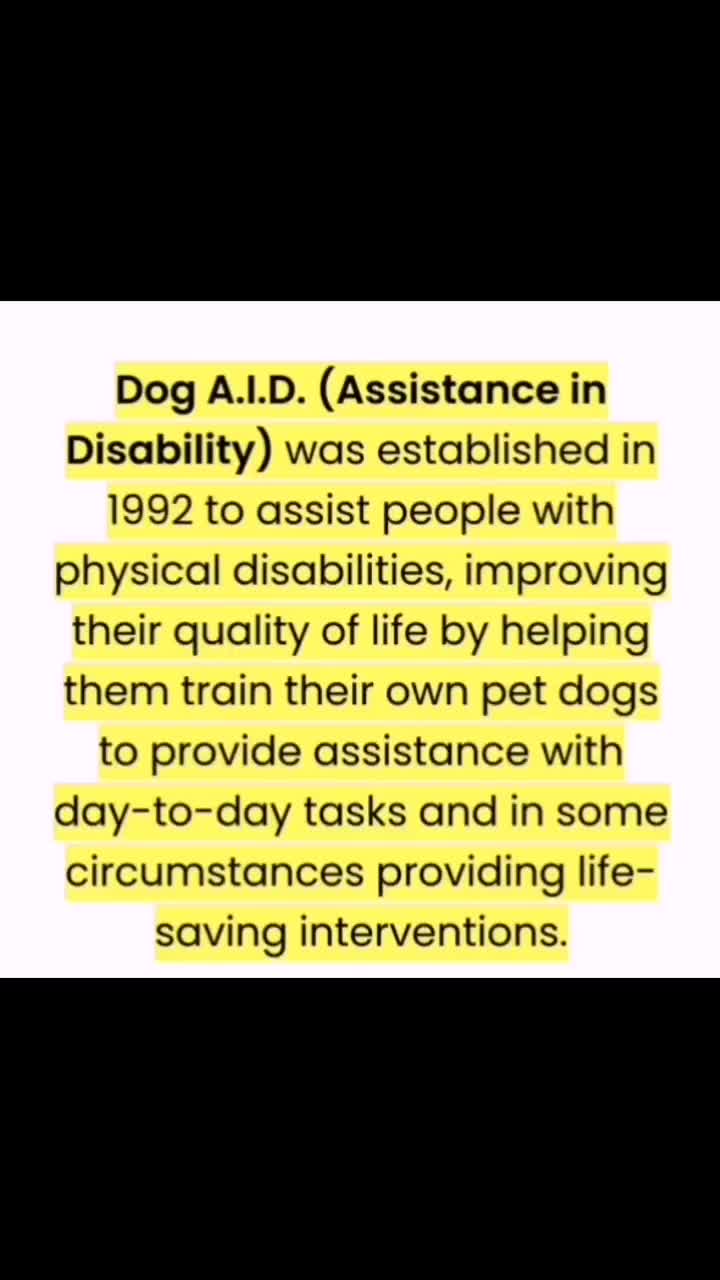 @Dog A.I.D.