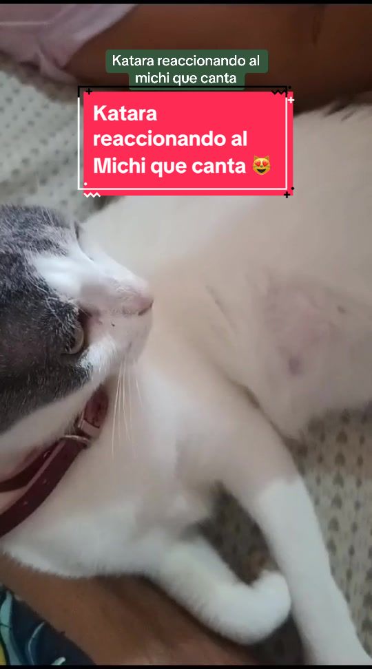 @El Michii