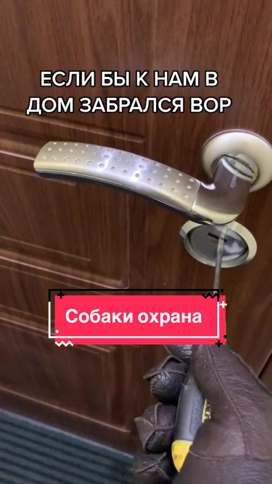 @Йорк Донни 🇺🇦