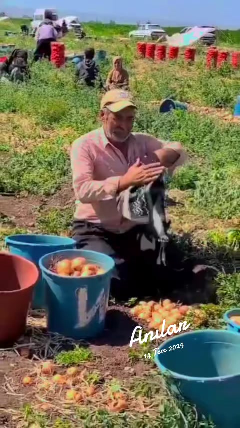 @🔥 Z&Uuml;LF&Uuml;KAR 🔥