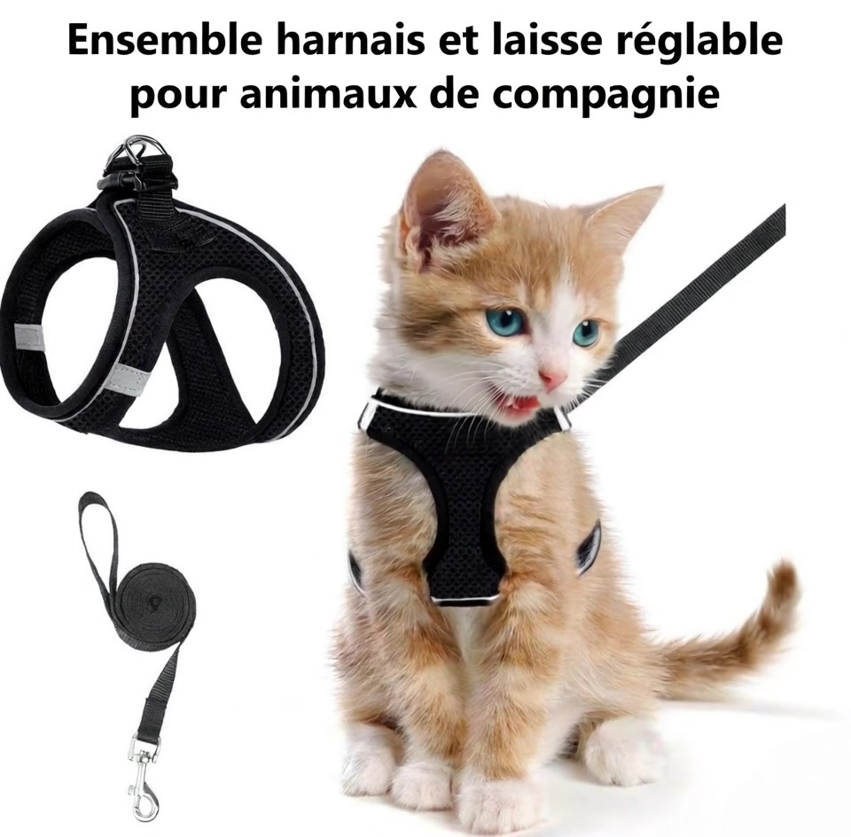 @26 Le Chat
