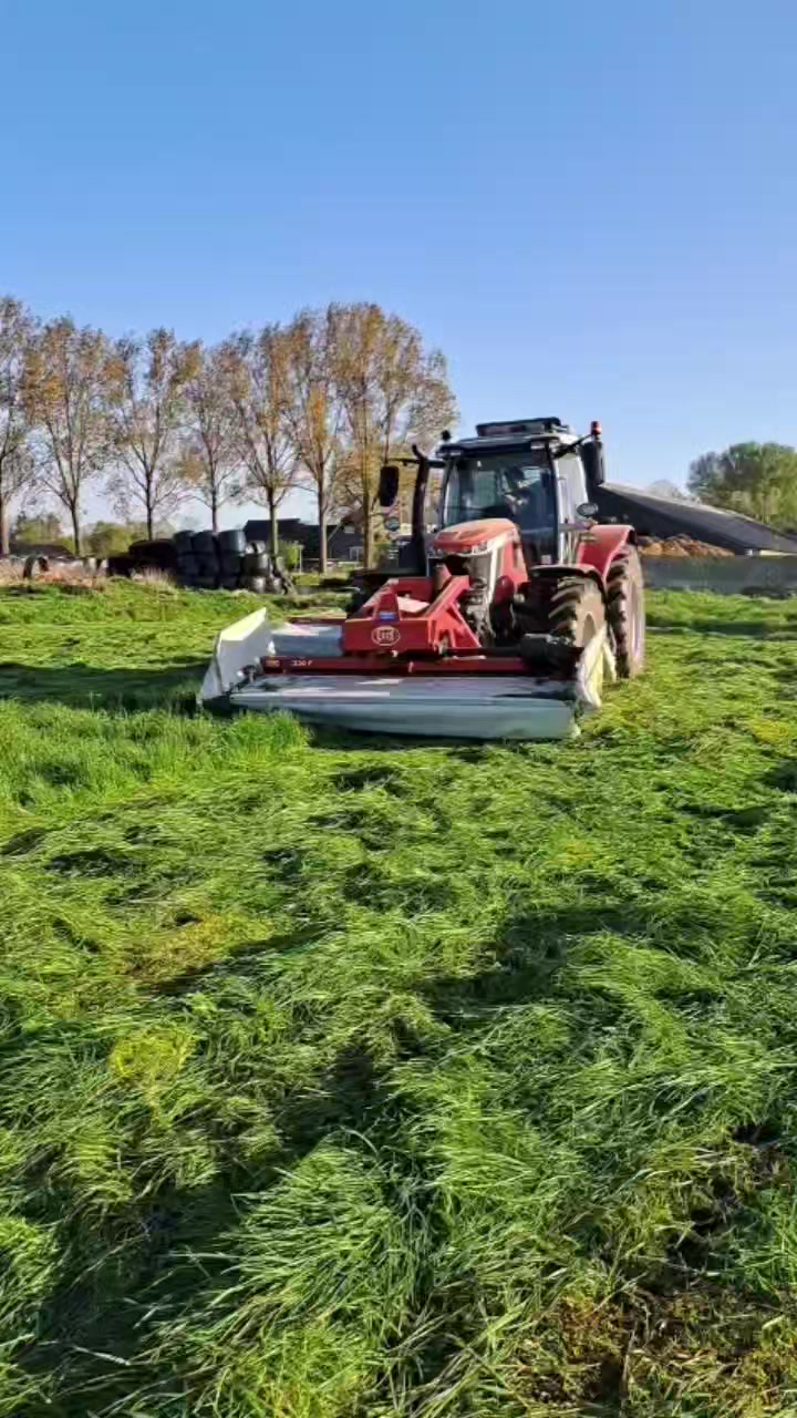 @schapenfokkerij l.kammeraad