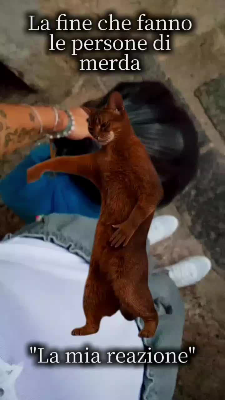 @Veronica (Angel🐨🍀)