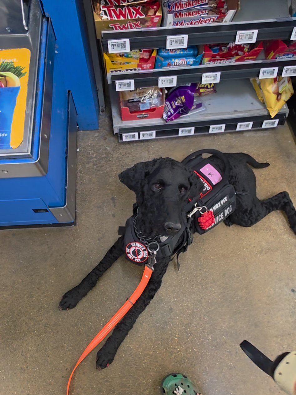 @Canine Wonders Training