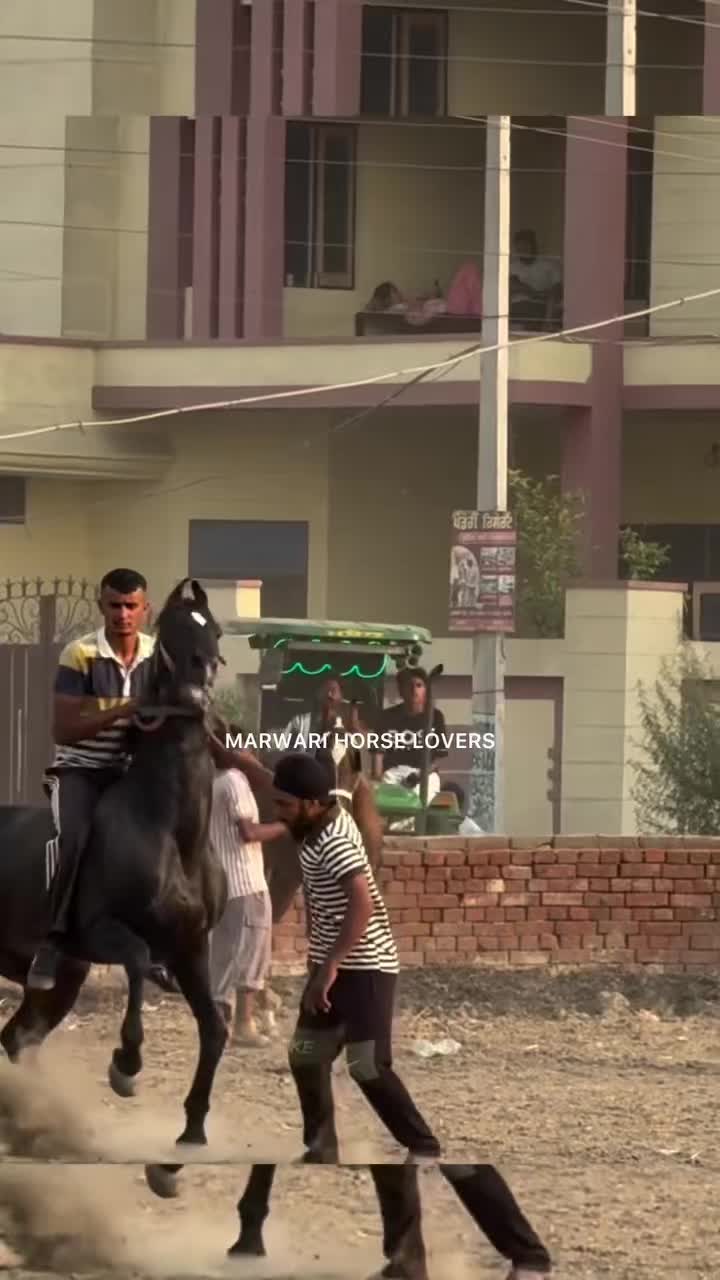 @🚩 راوی الہ 🚩
