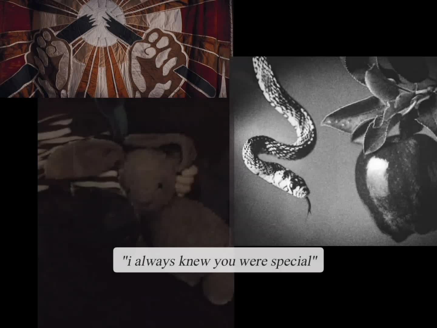 @「 ✦ thia✦ 」(credence' version)