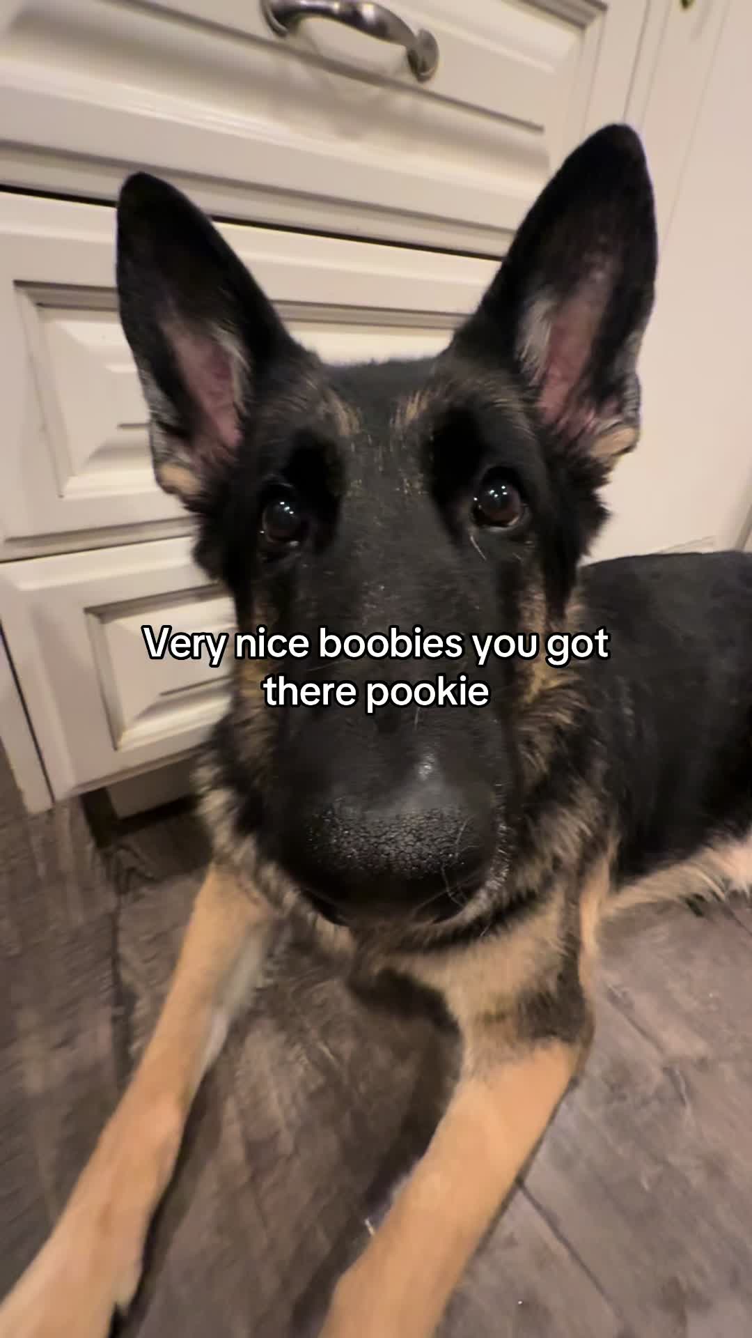 @Bhris