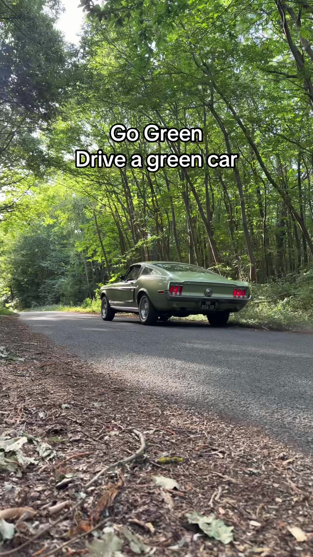 @ClassicSCodeFastback