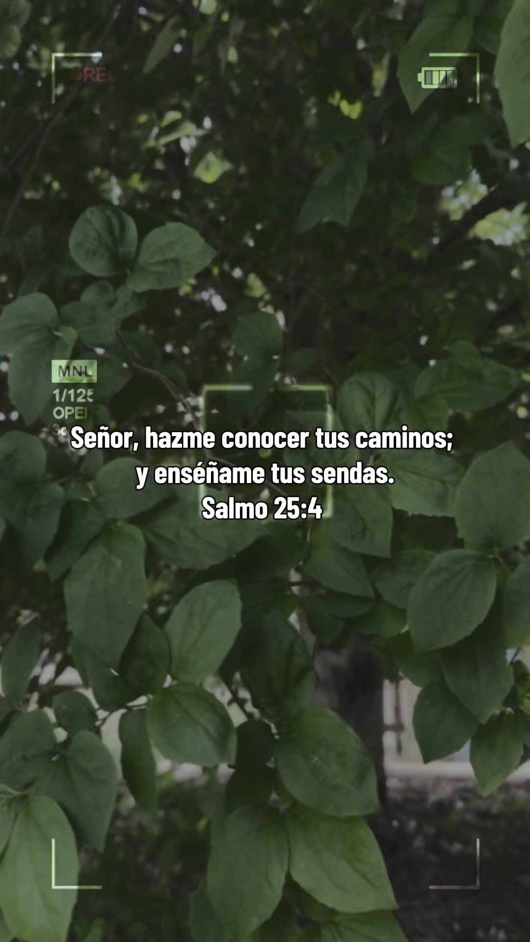 @tenemosunproposito