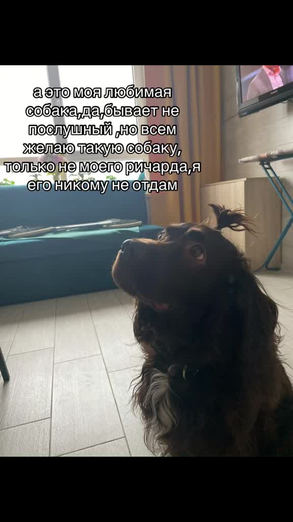 @ульяночка🫰🏻💘