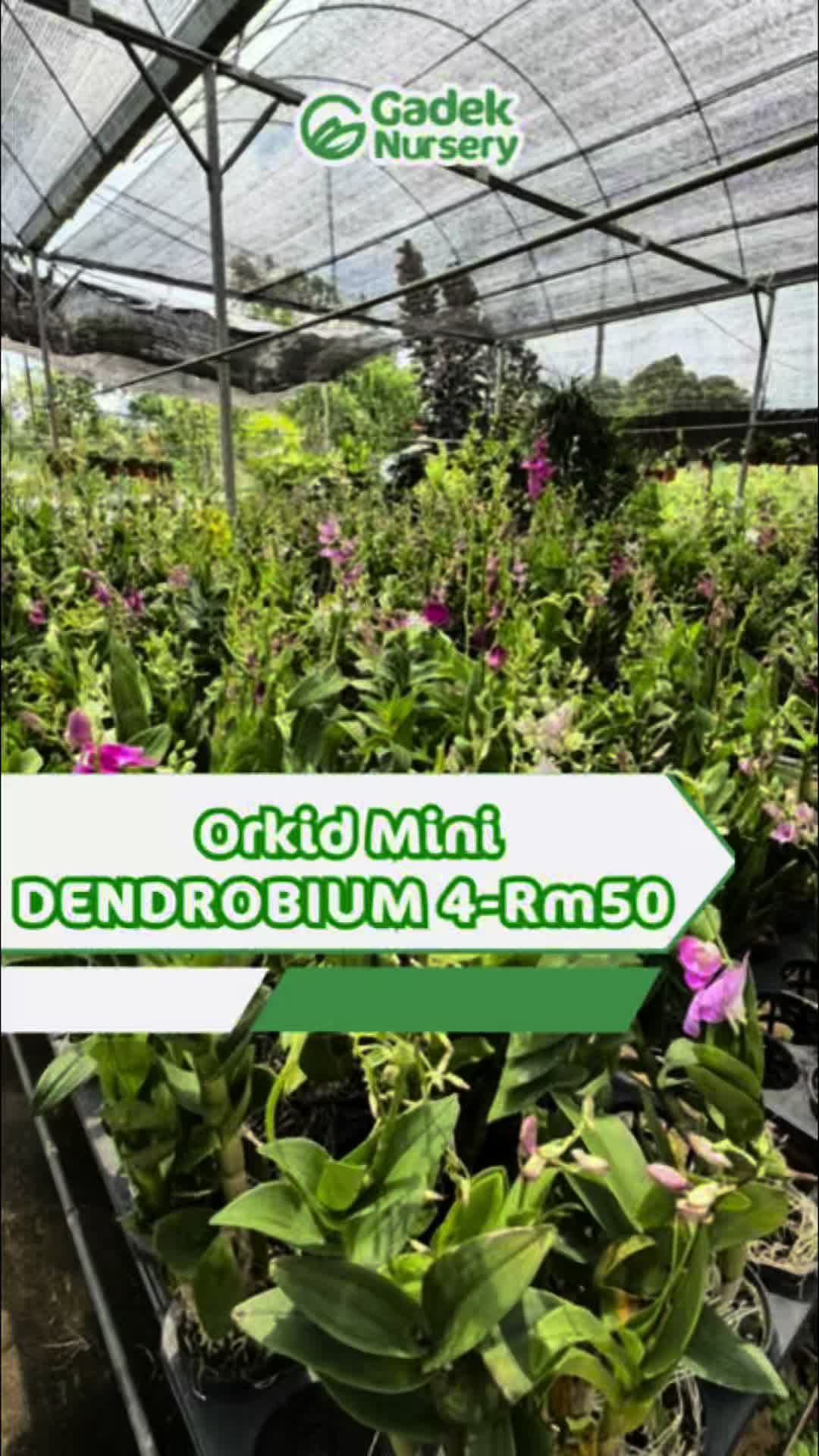 @Gadek Nursery