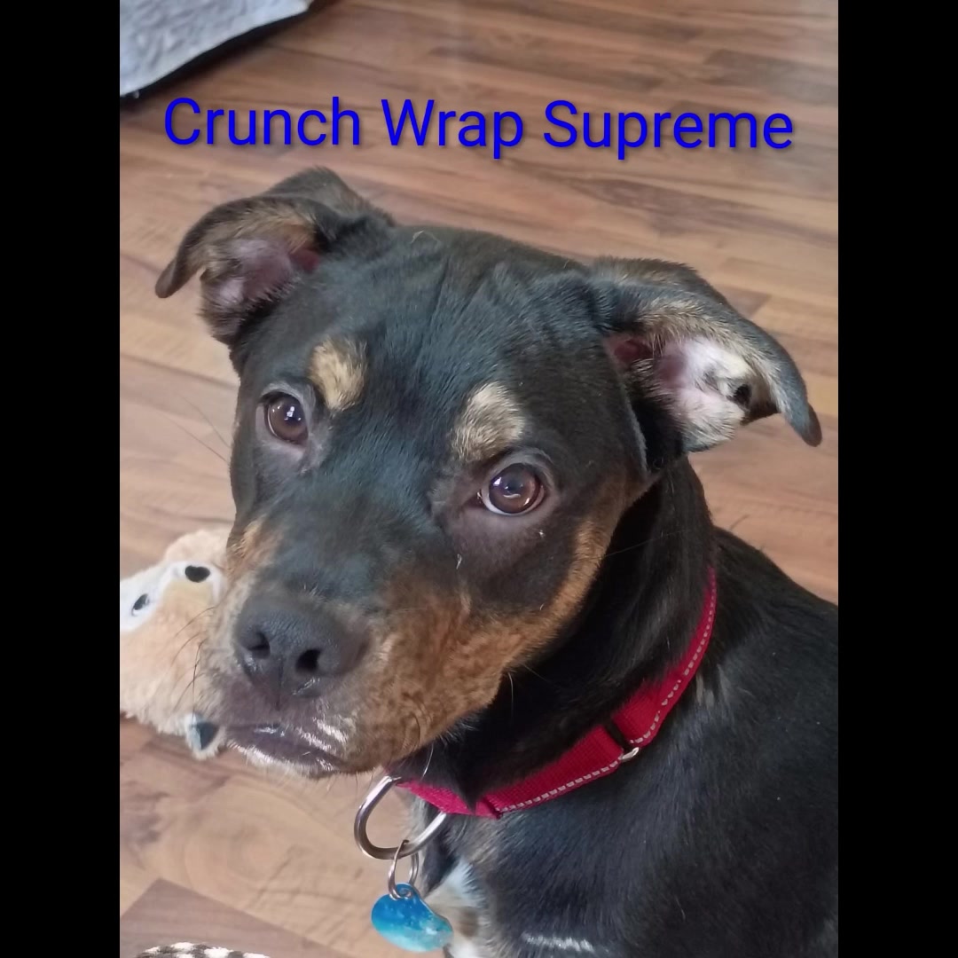 @Friends Forever Animal Rescue